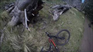 SKI APACHE  NEW MEXICO  MTB  2017 [upl. by Theobald82]