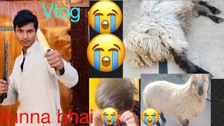 Finally barkay ki vlogs khatam 😭 last video of my bakra 😭😭 now he is gone😭😭 [upl. by Hareehat]