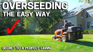 How to OVERSEED Your Lawn in FALL  Easy Way [upl. by Anelagna543]