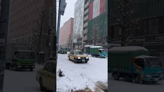 What it looks like in Sapporo during heavy snowfall ❄️ Japan Hokkaido Sapporo Winter [upl. by Bluma]