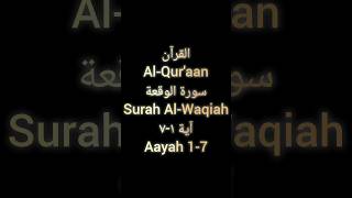 Quran Surah AlWaqiah Ayah 17 Omar Hisham Al Arabi quran [upl. by Delainey]