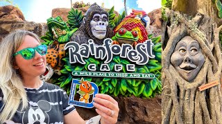 Disney Springs Rainforest Cafe 2022 Full Dining Experience Food Theming Volcano Shopping amp More [upl. by Glasgo389]