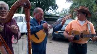 SON JAROCHO EL SIQUISIRI SON VERACRUZANO ARPA JAROCHA REQUINTO JAROCHO JARANA JAROCHA TRADICION [upl. by Aneeb159]