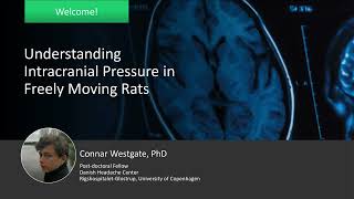 Understanding Intracranial Pressure in Freely Moving Rats [upl. by Relyk]