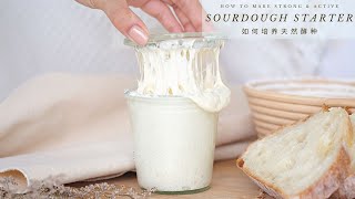 How to make Strong amp Active Sourdough Starter in 6 Days  如何培养天然酵种 [upl. by Yetac46]