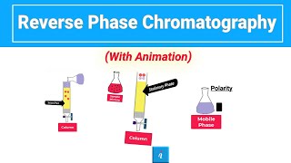 Reverse Phase Chromatography Animation [upl. by Squires]