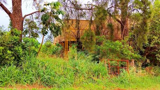 Família Inteira Abandona Casa com Tudo Dentro Móveis Raros de Alto Valor Guarda Roupa Cristaleira [upl. by Yddet760]