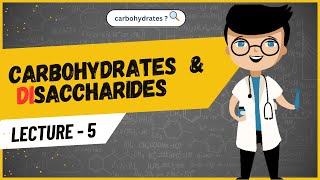 carbohydrate  Disaccharides [upl. by Otilrac705]