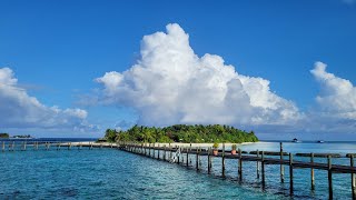 Snorkeling in Maldives [upl. by Eyma]