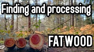 How to find and process fatwood 2022 [upl. by Adlesirk]