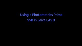 Running the Prime 95B in Leica LASX software [upl. by Anivram685]