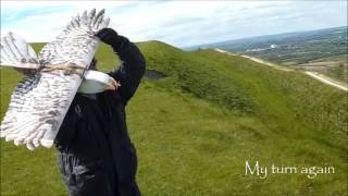 Radio control EPP Eagle slope soaring at Bratton Camp [upl. by Narine497]