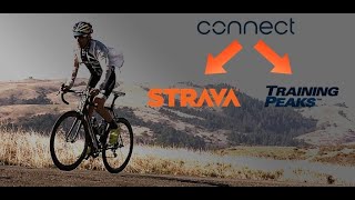 Analisando treinos no trainingpeaks  garmin e strava9 [upl. by Kciredohr625]