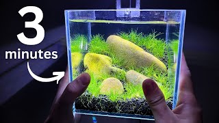 Nano shrimp tank in 3 minutes Step by step tutorial [upl. by Vander627]