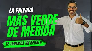 Esta es la PRIVADA más VERDE de Mérida 😍 [upl. by Eseerahs]