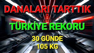 105 KG TÜRKİYE REKORU  DANA TARTIMI trakya rotayem keşfet tekirdağ çiftlik çiftlikişleri [upl. by Akinod]