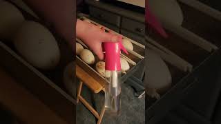 Facebook Live 20230326 Wk 2 Candling [upl. by Neik]