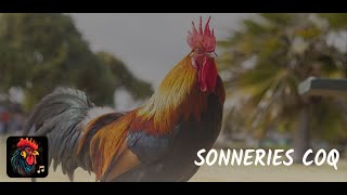 sonneries coq [upl. by Yrrol312]