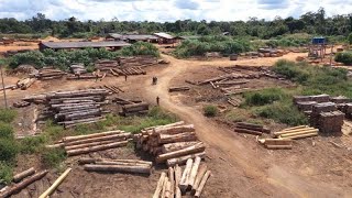 Caminhos da Reportagem  Amazônia em alerta [upl. by Marlon]