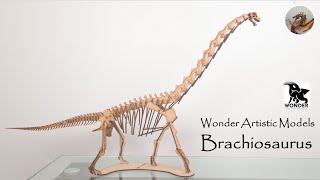 190 Wonder Artistic Models Brachiosaurus Review [upl. by Questa67]