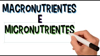 O Que São Macronutrientes e Micronutrientes Para Que Servem  Funções  Diferenças  Resumo [upl. by Weight]