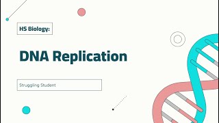 DNA Replication [upl. by Calloway]