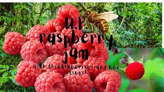 How to Make Raspberry Jam Canning Tutorial [upl. by Arella305]