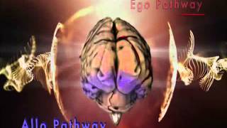 Dr James Austin Egocentric and Allocentric Brain Pathways [upl. by Val274]