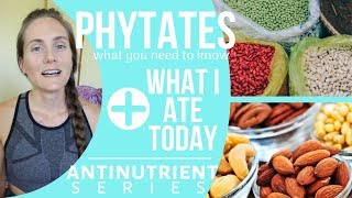 Managing PHYTATES on a PlantBased Diet  What I Ate Today [upl. by Yelir]