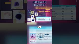 LAP Score for Leukemoid Reaction vs CML [upl. by Roselane246]