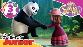 Sofia the First  The Bamboo Kite  Disney Junior UK [upl. by Christoforo482]