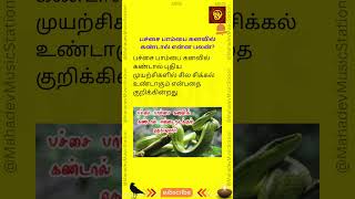 பச்சை பாம்பு கனவில் வந்தால்  pambu kanavil vanthal  pambu kanavu palan [upl. by Etnoval207]