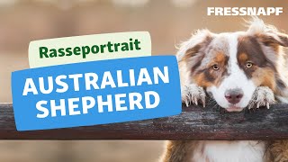 Rasseportrait Australian Shepherd [upl. by Burrell968]