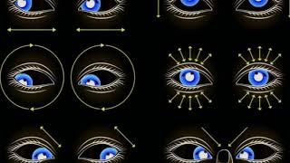 Réflexe archaïque mouvement flexion extension tête système vestibulaire oculaire RTAC OU RTSC [upl. by Terriss]