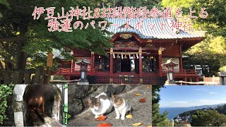 伊豆山神社837段の階段参道を上る～海辺から本堂まで [upl. by Rowell501]