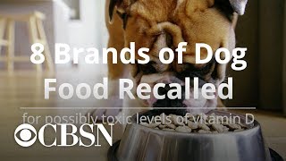 8 brands of dog food recalled [upl. by Enyaw580]