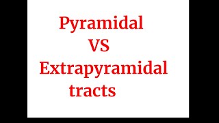 Pyramidal vs Extrapyramidal tracts [upl. by Eloccin]