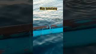 May lumutang ano Yan happyislander islahanon lambay islanding [upl. by Aihsila]