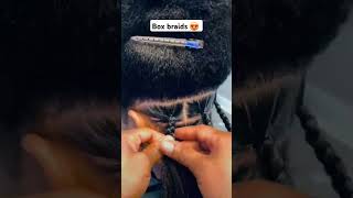 Box braids foryou hairstyles subscribe braids haircare [upl. by Toor]