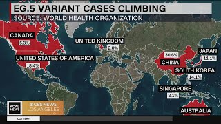 A new COVID19 variant pushes up cases in the US [upl. by Rao]