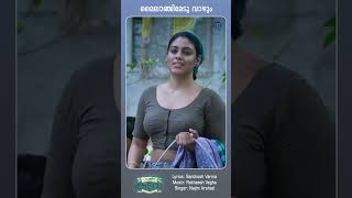 Wahida songefxMylanchi Monjulla Veedu [upl. by Arehsat]