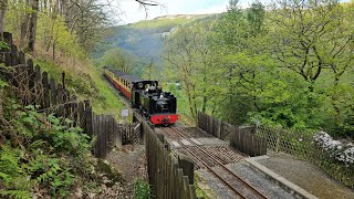 No8 quotLlewelynquot at Rheidol Falls on the Vale of Rheidol Railway 10524 [upl. by Zeuqcaj]