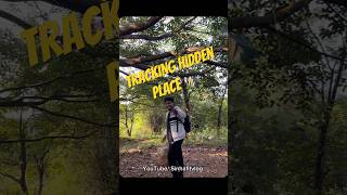 day21 ASSAM tracking hidden place ⛰️ minitravelvlog shortsviral vlog [upl. by Ytoc]