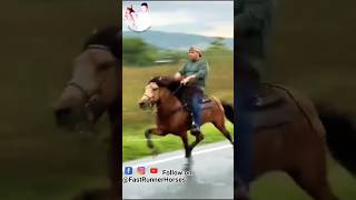 विदेशी घोड़े की सिंधी चाल 🏇 horseriding horselover sindhihorse animal horse horseshorts [upl. by Adnahsam648]