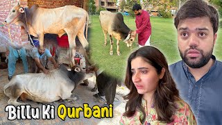 Billu Ki Qurbani 💔  Poori Family Emotional Ho Gai 😭  Susral Walon Se Eid Milne Gaye ❤️ [upl. by Centeno]