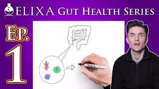 Episode 1  Elixa Gut Health Video Series [upl. by Irrep200]