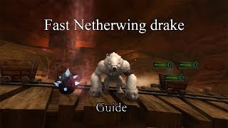 Fast Exalted Netherwing Drakes Guide [upl. by Salakcin]