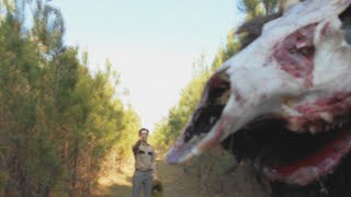 Park Ranger Admits To The Existence of Wendigos I 1975 Found Footage [upl. by Ahseret]