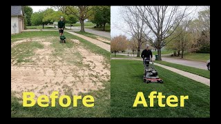 Step by Step Guide to OVERSEEDING Better looking lawn FAST [upl. by Marlette]