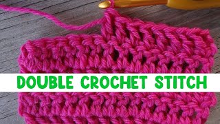 How to Work the Double Crochet Stitch [upl. by Aleirbag9]